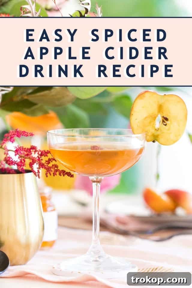 A visually appealing recipe card for the Easy Spiced Apple Cider Cocktail drink, beautifully captured by top Houston lifestyle blogger Ashley Rose of Sugar & Cloth.