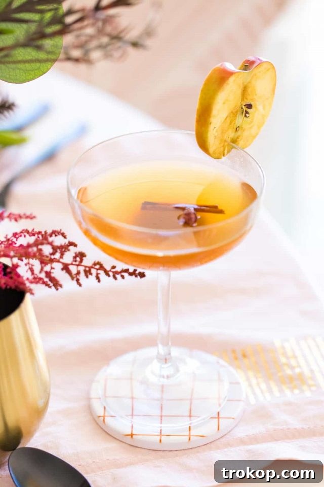 A close-up photo of the apple cider vinegar drink, showcasing its rich texture and inviting color. Photo by top Houston lifestyle blogger Ashley Rose of Sugar & Cloth.
