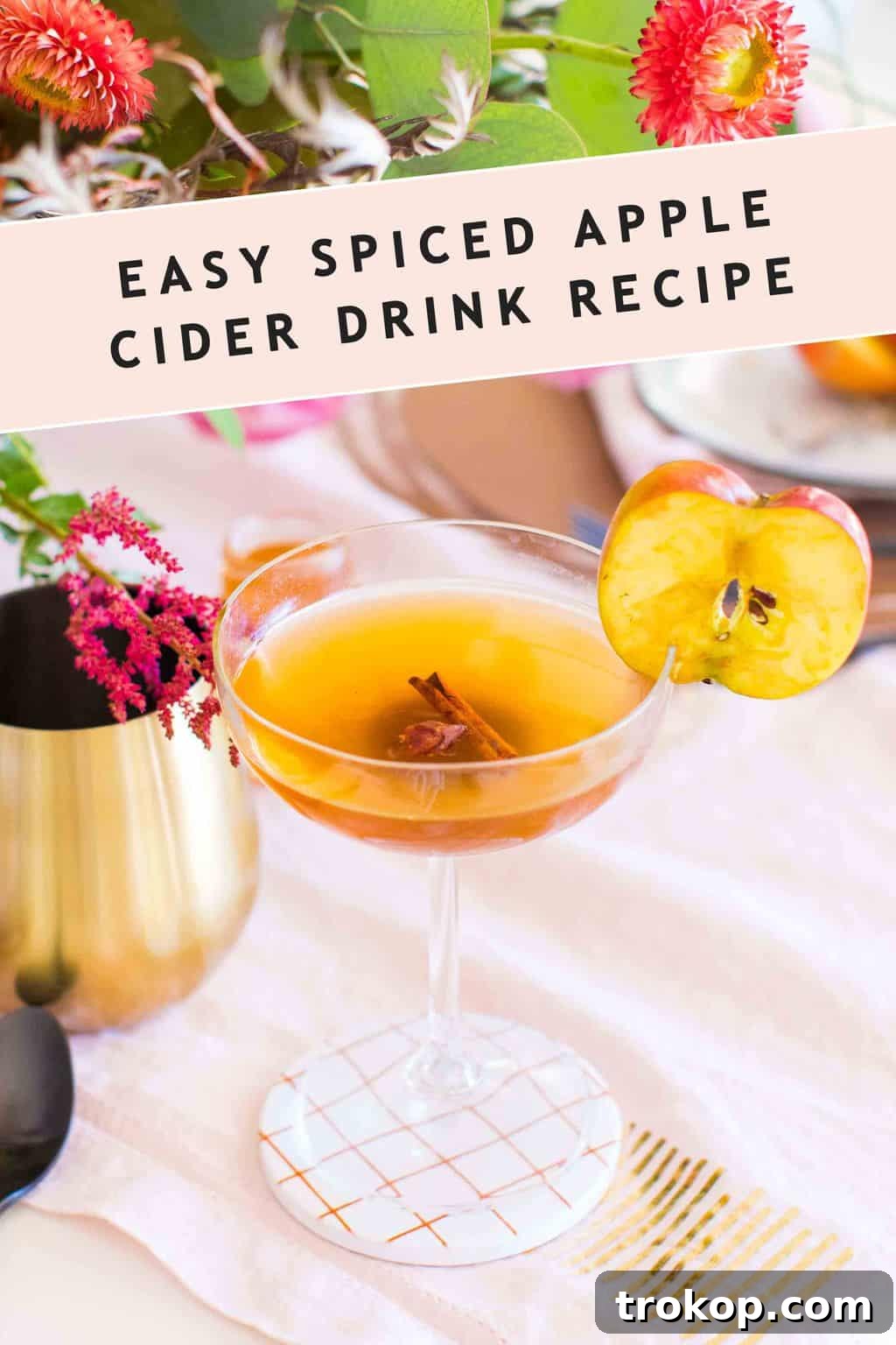 A comprehensive recipe card detailing the spiced apple cider drink recipe, a creation by top Houston lifestyle blogger Ashley Rose of Sugar & Cloth.