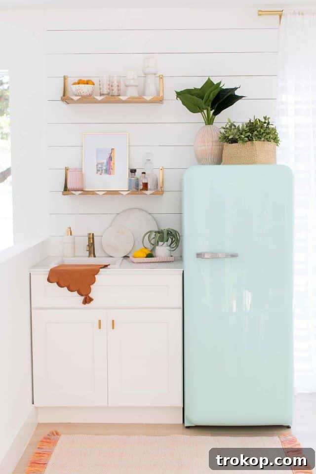Wet Bar Transformation: From Drab to Fab - Trokop