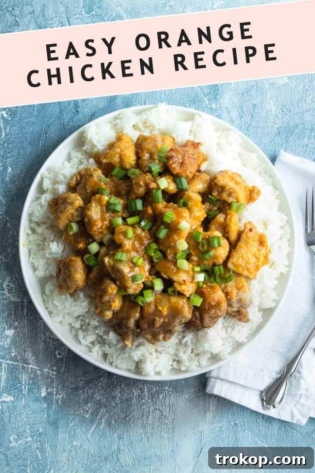 Zesty Orange Chicken 10 A final photo of the easy orange chicken dinner idea by top Houston lifestyle blogger Ashley Rose of Sugar & Cloth, beautifully plated for a family meal.