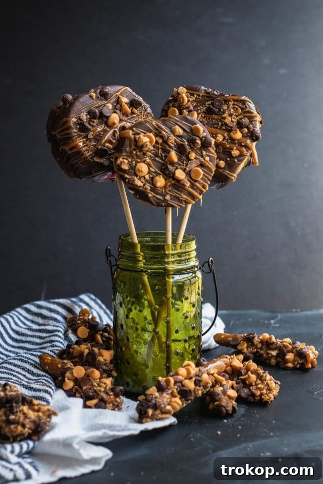 Sweet & Salty Perfection: Chocolate Pretzels and Candy Apples 2 Gourmet chocolate and caramel dipped pretzels and candy apples by Sugar & Cloth