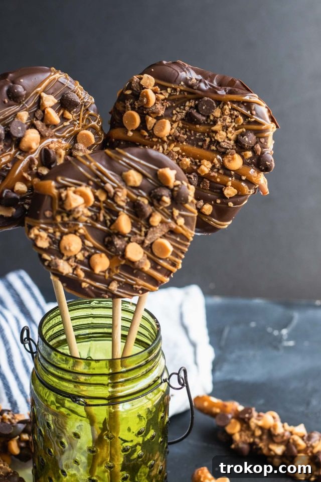 Sweet & Salty Perfection: Chocolate Pretzels and Candy Apples 7 Finished chocolate dipped candy apples by Sugar & Cloth