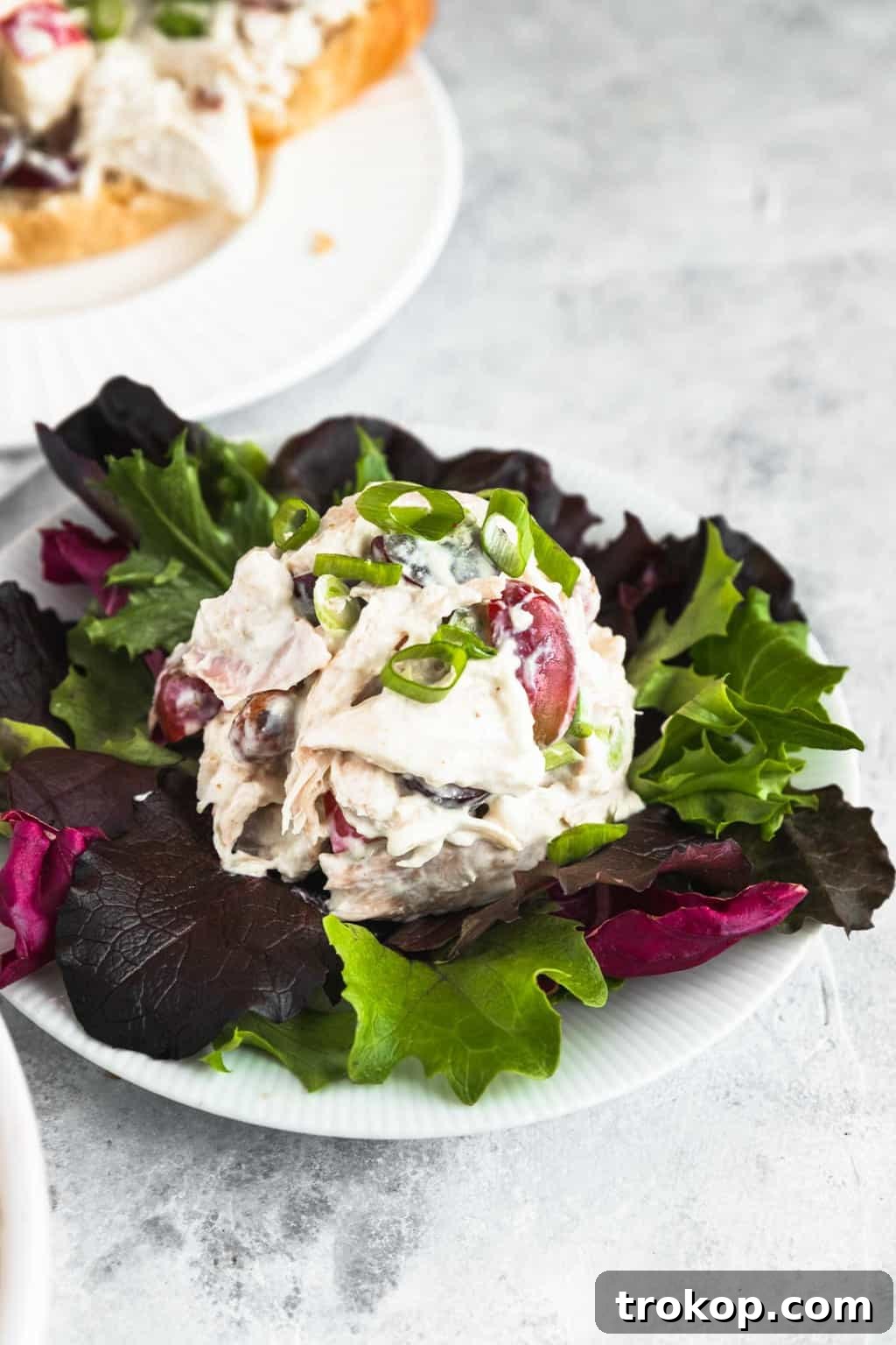 The Definitive Chicken Salad 5 A serving of the best chicken salad presented on a fresh bed of mixed greens, highlighting its vibrant colors.