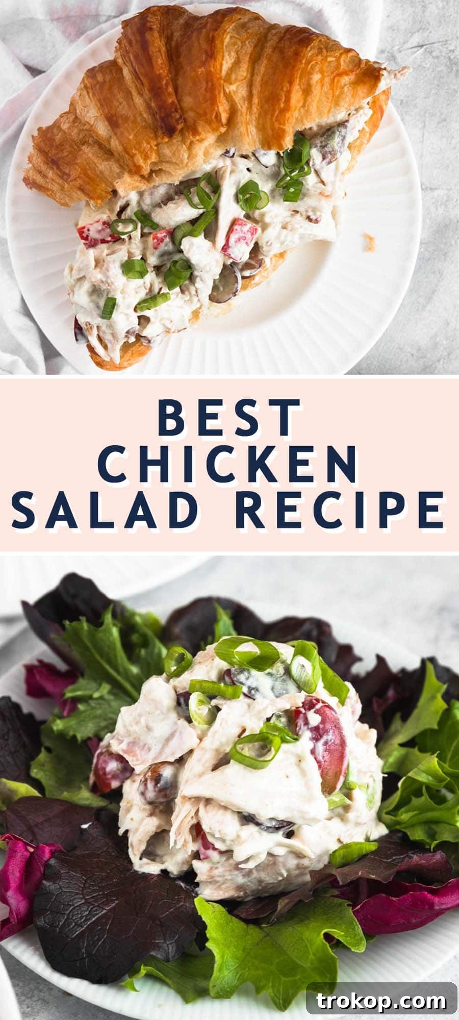 The Definitive Chicken Salad 9 A beautifully designed recipe card summarizing how to make the best chicken salad, perfect for quick reference.