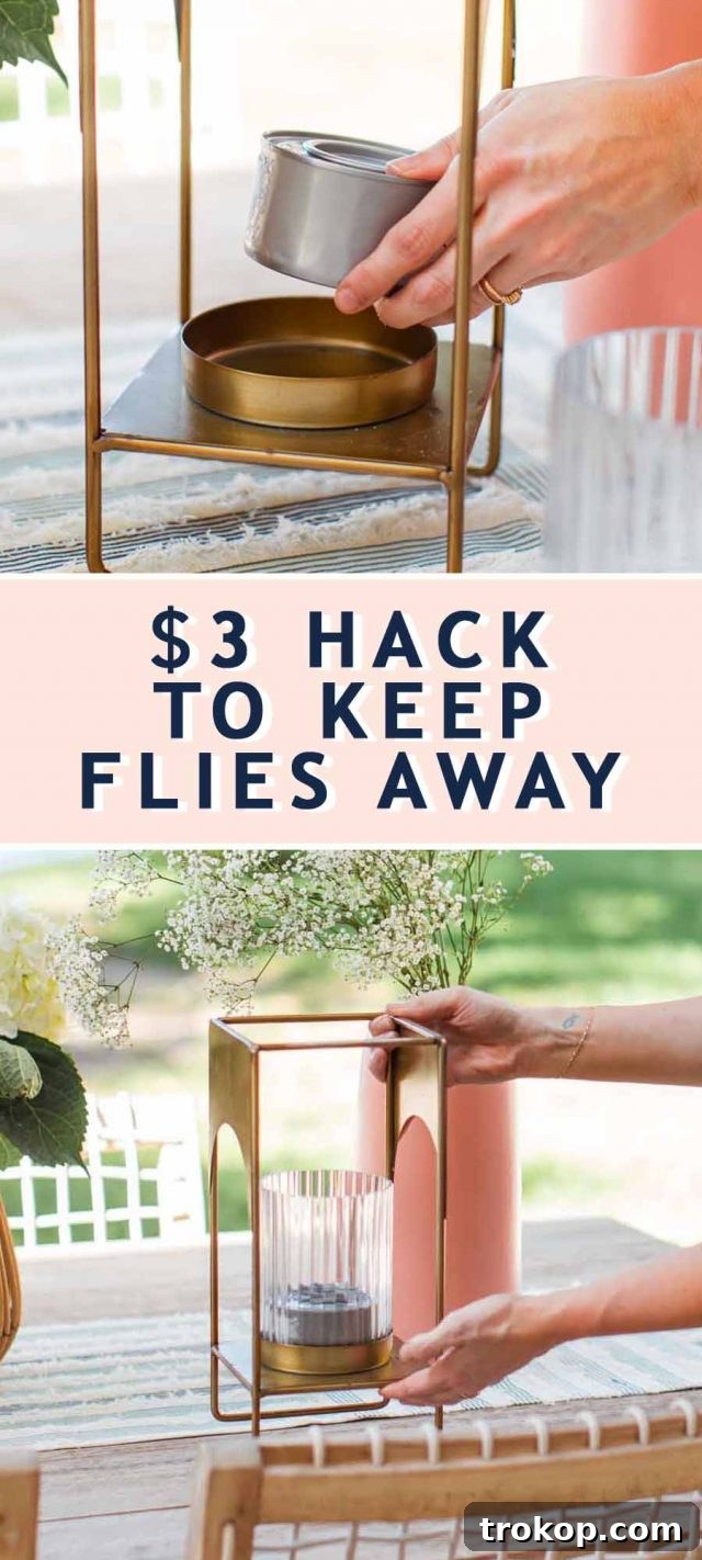 A two-photo collage showcasing an outdoor dining table, illustrating how to effectively keep flies away for a peaceful experience.
