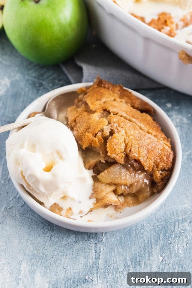 Irresistible Apple Cobbler 2 photo of the apple cobbler dessert with a scoop of ice cream by top Houston lifestyle blogger Ashley Rose of Sugar & Cloth