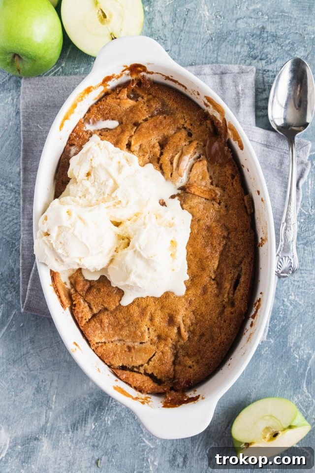 Irresistible Apple Cobbler 4 photo of the apple cobbler baked in a dish topped with ice cream by top Houston lifestyle blogger Ashley Rose of Sugar & Cloth