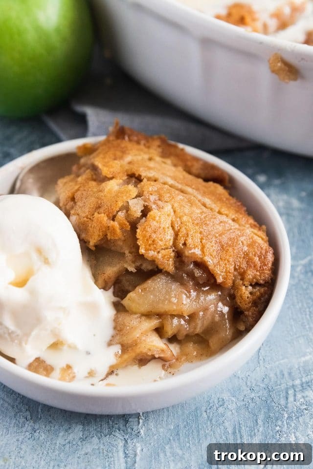 Irresistible Apple Cobbler 6 close up photo of the apple cobbler recipe by top Houston lifestyle blogger Ashley Rose of Sugar & Cloth