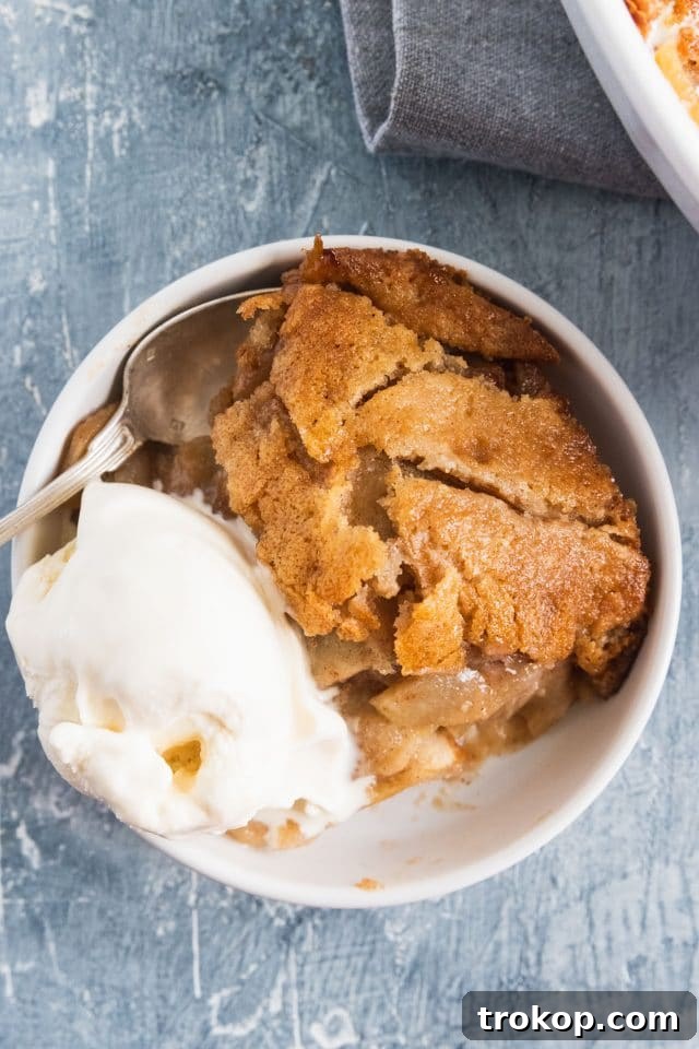 Irresistible Apple Cobbler 7 photo of the best apple cobbler recipe by top Houston lifestyle blogger Ashley Rose of Sugar & Cloth
