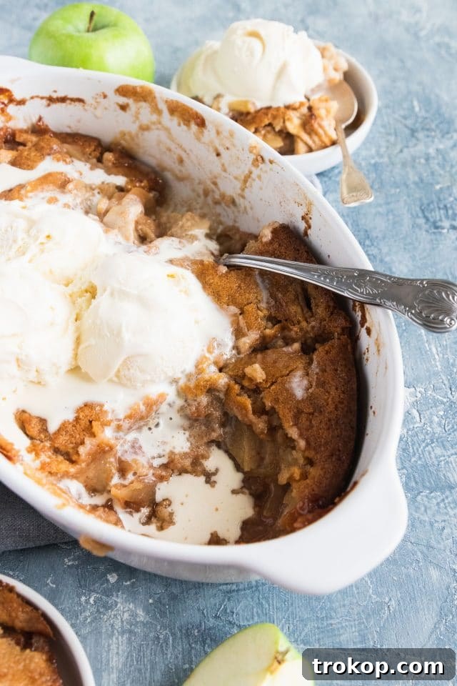 Irresistible Apple Cobbler 8 photo of an apple cobbler as an easy dessert for a dinner party by top Houston lifestyle blogger Ashley Rose of Sugar & Cloth