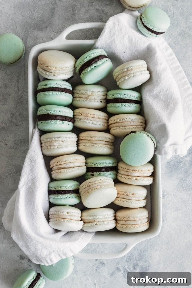photo of how to make foolproof easy macarons by top Houston lifestyle blogger Ashley Rose of Sugar & Cloth