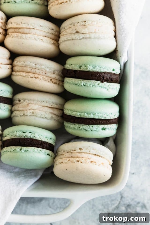 photo of a closeup of the buttercream and chocolate french macarons by top Houston lifestyle blogger Ashley Rose of Sugar & Cloth