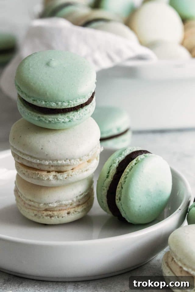 photo of buttercream and chocolate macarons by top Houston lifestyle blogger Ashley Rose of Sugar & Cloth
