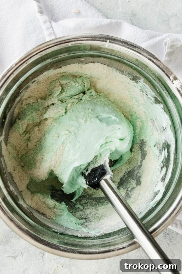 photo of the gel food coloring being added to the macaron batter by top Houston lifestyle blogger Ashley Rose of Sugar & Cloth