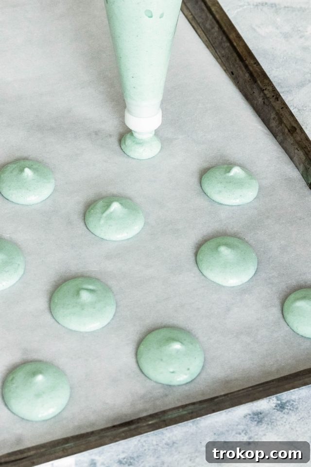 photo how to pipe macarons by top Houston lifestyle blogger Ashley Rose of Sugar & Cloth