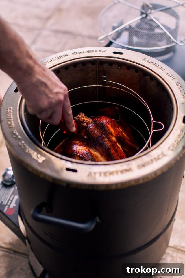 Checking the internal temperature of the air-fried turkey with a meat thermometer to ensure it's perfectly cooked.