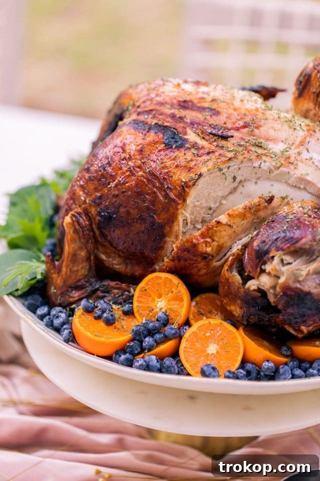 A close-up of a perfectly sliced Thanksgiving turkey recipe, garnished with vibrant citrus and fresh berries, ready for serving.