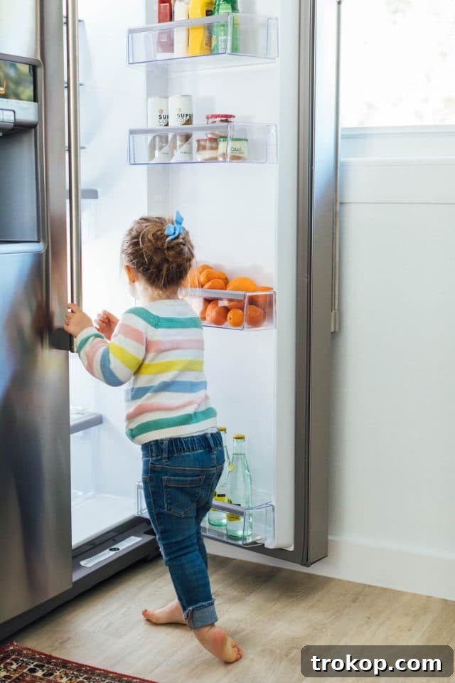 Maytag Refrigerator with PowerCold Feature