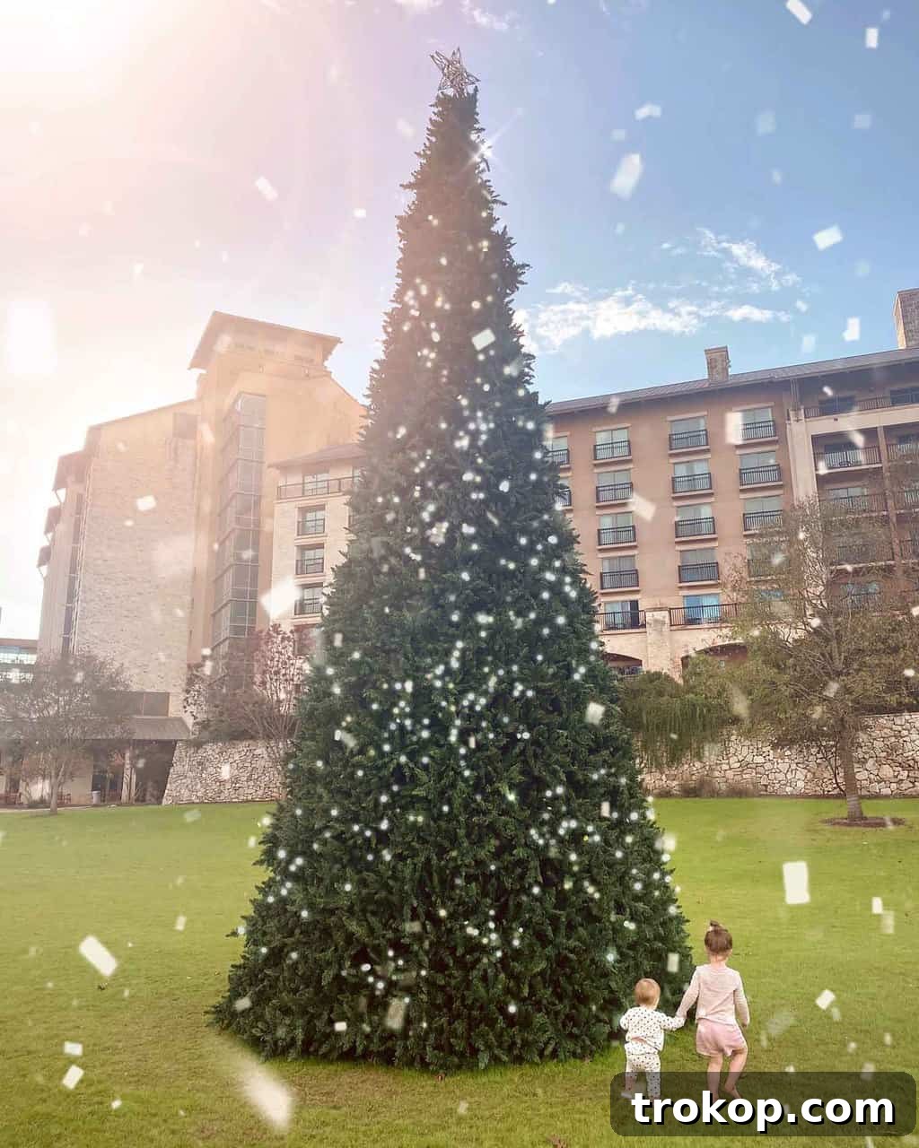 Festive Christmas tree at JW Marriott San Antonio resort, decorated for the holiday season