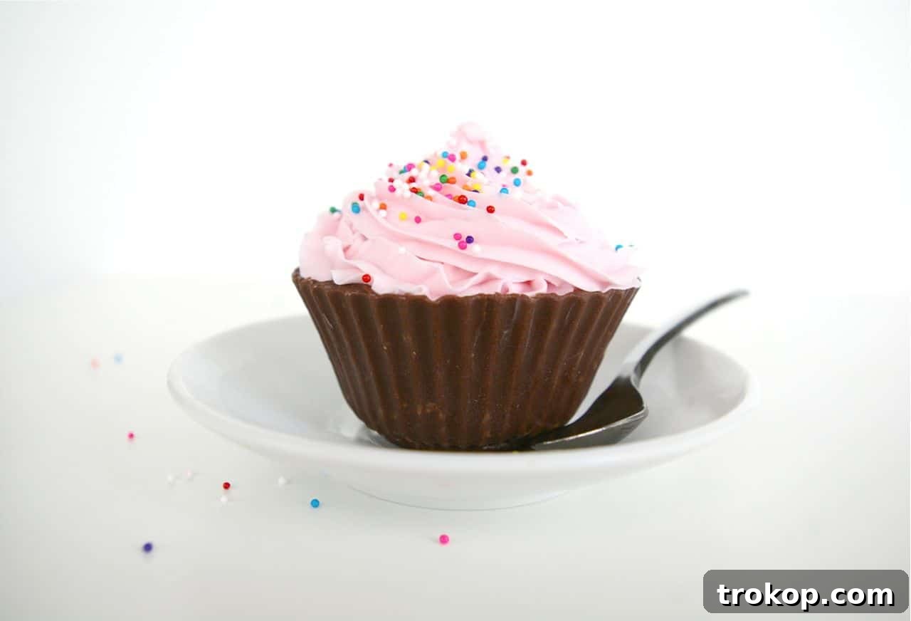 Decorating finished Ice Cream Cupcakes with chocolate liners and sprinkles.