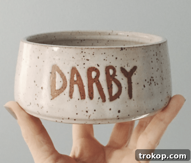 Custom Ceramic Pet Bowl