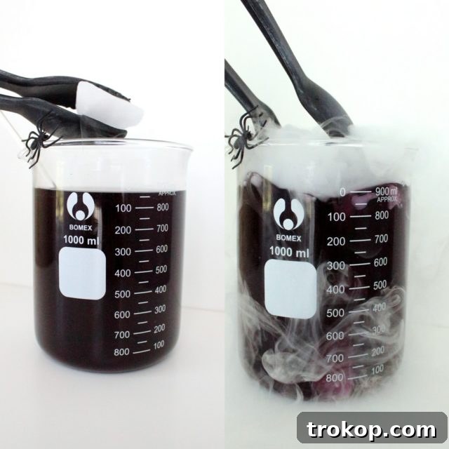 DIY Using Dry Ice for Effects and a little extra bit - Sugar & Cloth - Holiday - Halloween - DIY - Houston Blogger 