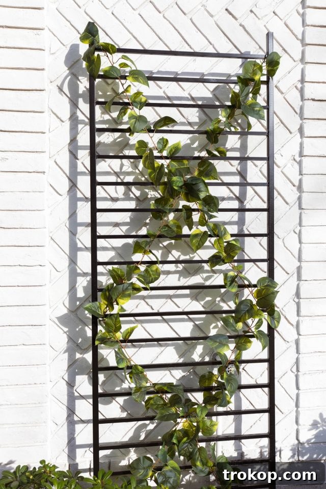 a DIY trellis in front of a limewash painted white brick wall
