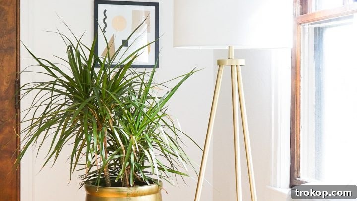 Creative DIY canvas print wall art