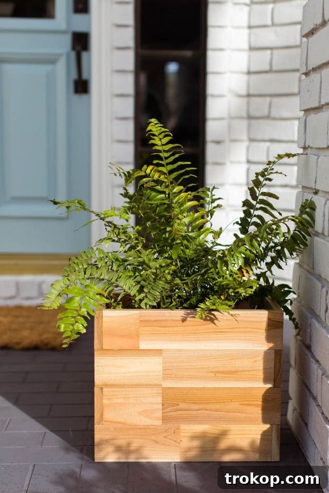 a cedar wood planter on a front porch enhancing the limewash aesthetic