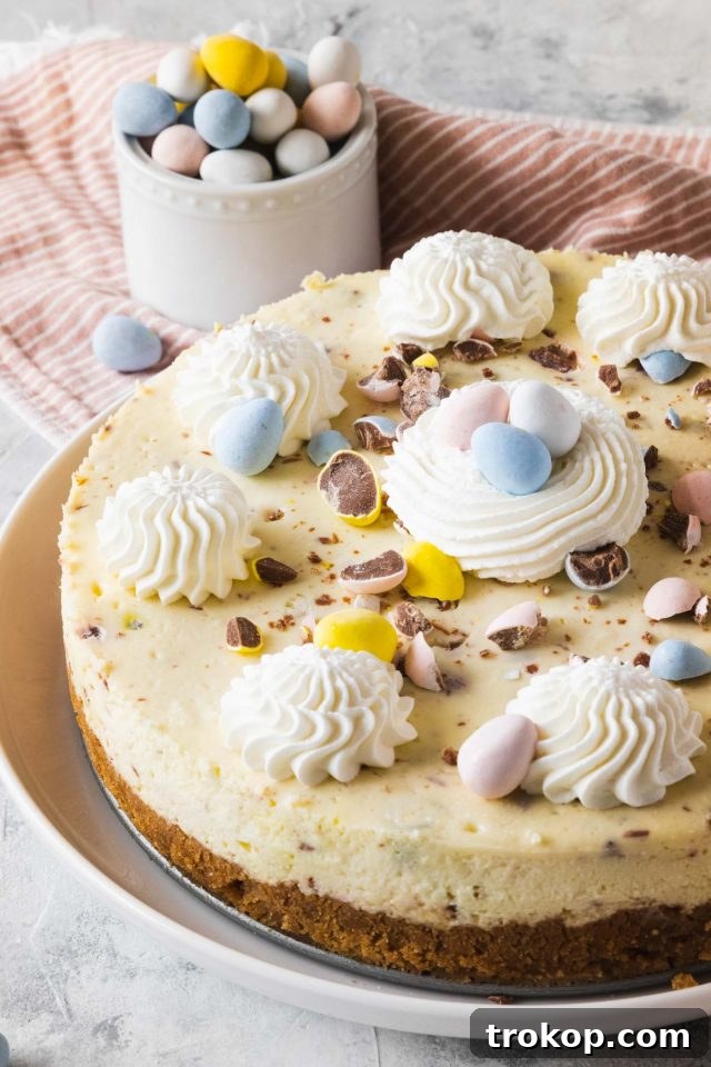 Closeup photo of the vibrant Easter Egg Cheesecake, adorned with colorful mini Cadbury eggs, making it a perfect spring dessert