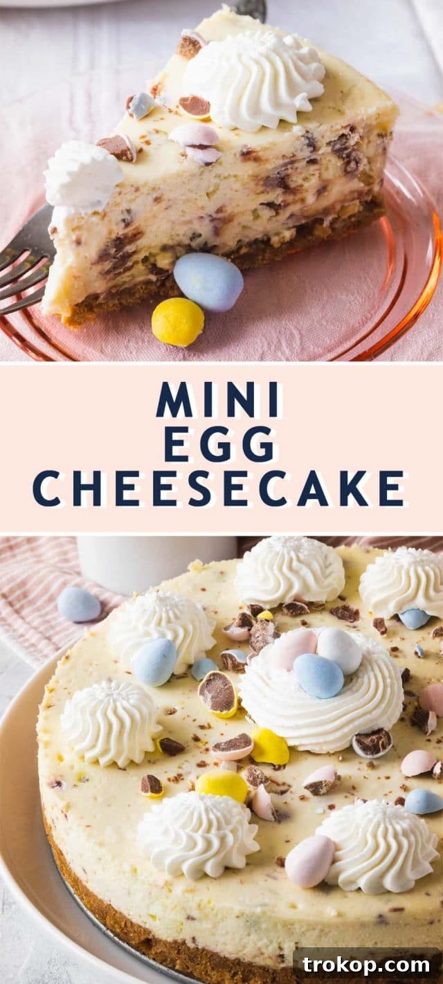 A clear, readable graphic of the recipe card for the Mini Egg Cheesecake, including ingredients and instructions