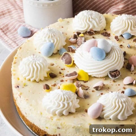 Closeup photo of the Easter Egg Cheesecake, adorned with colorful mini Cadbury eggs, making it a perfect spring dessert
