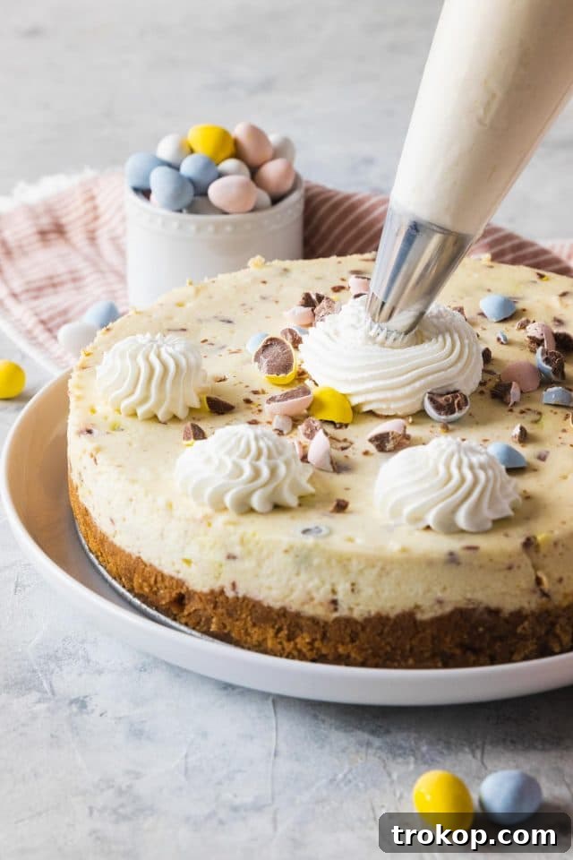 The Easter Egg Cheesecake being artfully decorated with swirls of whipped cream, creating a beautiful nest-like design