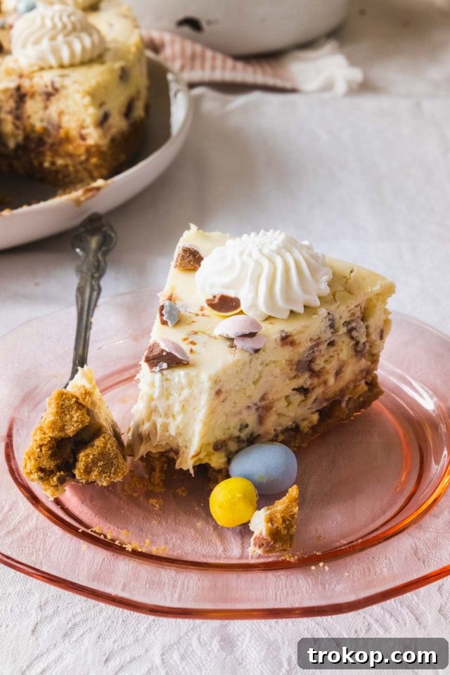 A beautiful slice of mini egg cheesecake, showing off the perfectly baked crust, creamy filling, and scattered chocolate eggs