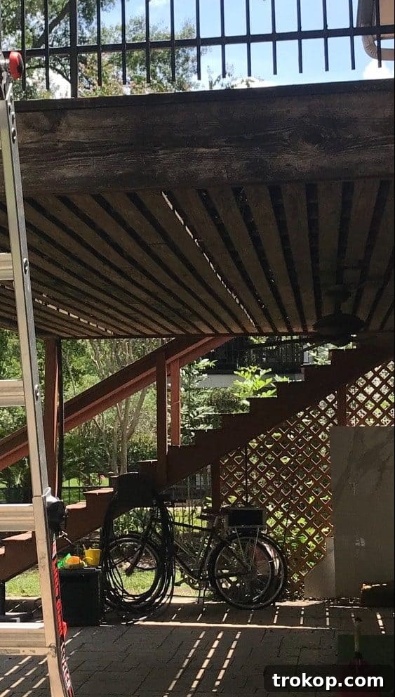 Photo of an old patio under overgrown decking before renovation