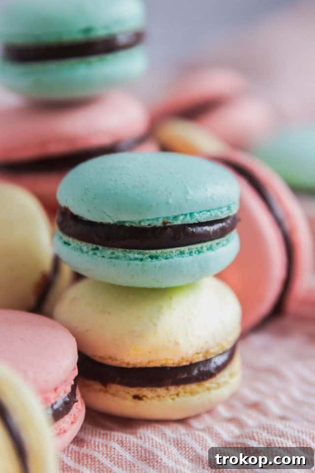 A photo of colorful Italian Macarons made by Sugar and Cloth