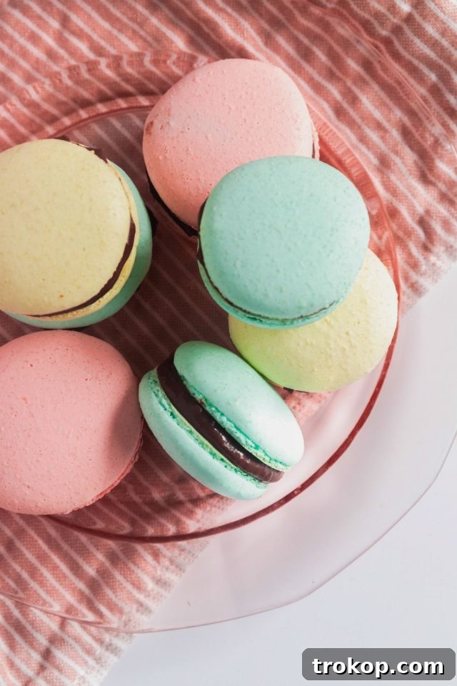A photo of Italian Macarons made by Sugar and Cloth