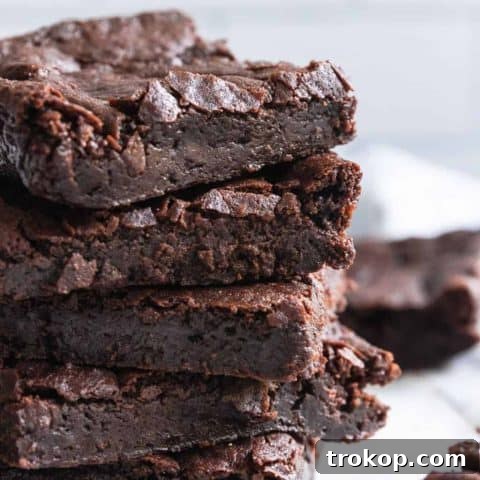 Vegan Egg Free Brownies Recipe