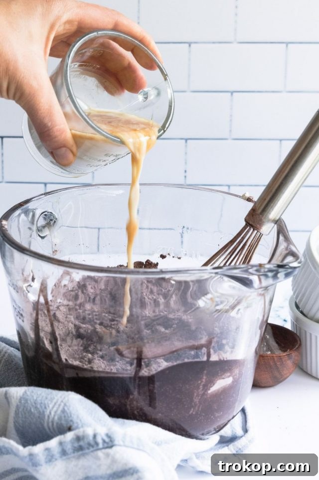 A photo of the ingredients laid out for making Vegan Egg Free Brownies by Sugar and Cloth
