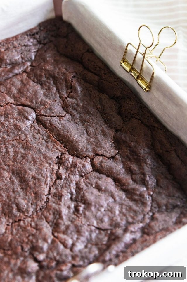 A photo of Vegan Egg Free Brownies made by Sugar and Cloth, showcasing their rich color