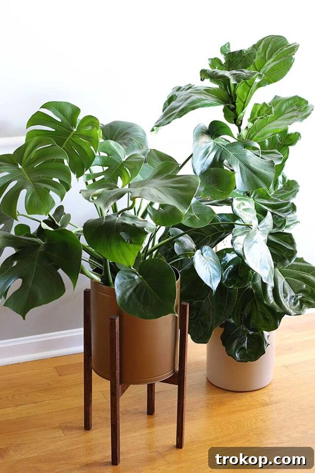 mid century diy plant stand