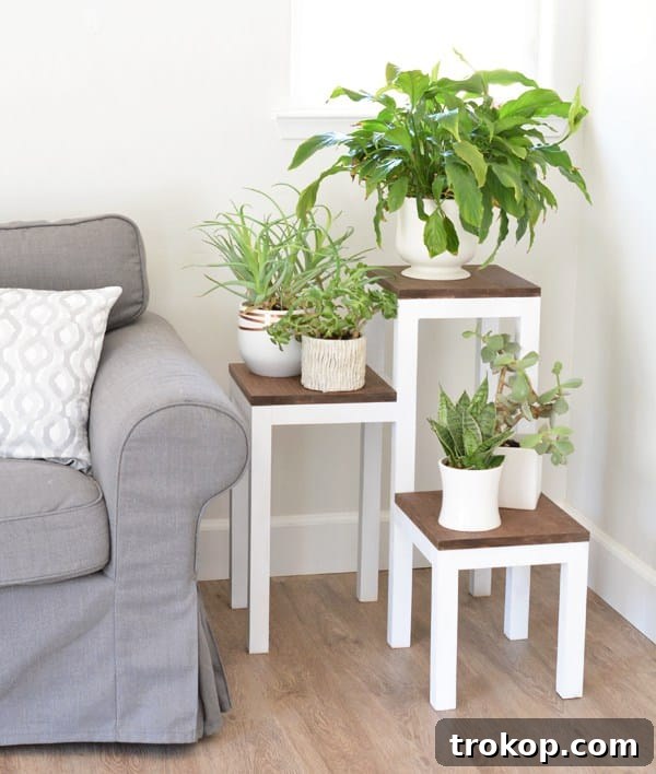 Tiered Plant Stand by Arrow