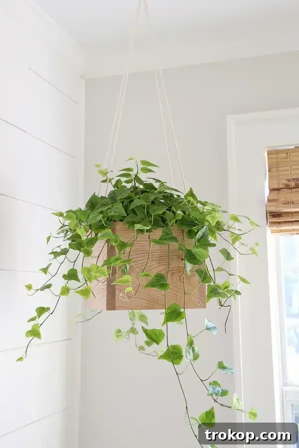 DIY Hanging Planter by Angela Marie Made