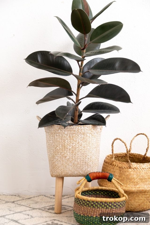 DIY basket plant stand with a plant in it