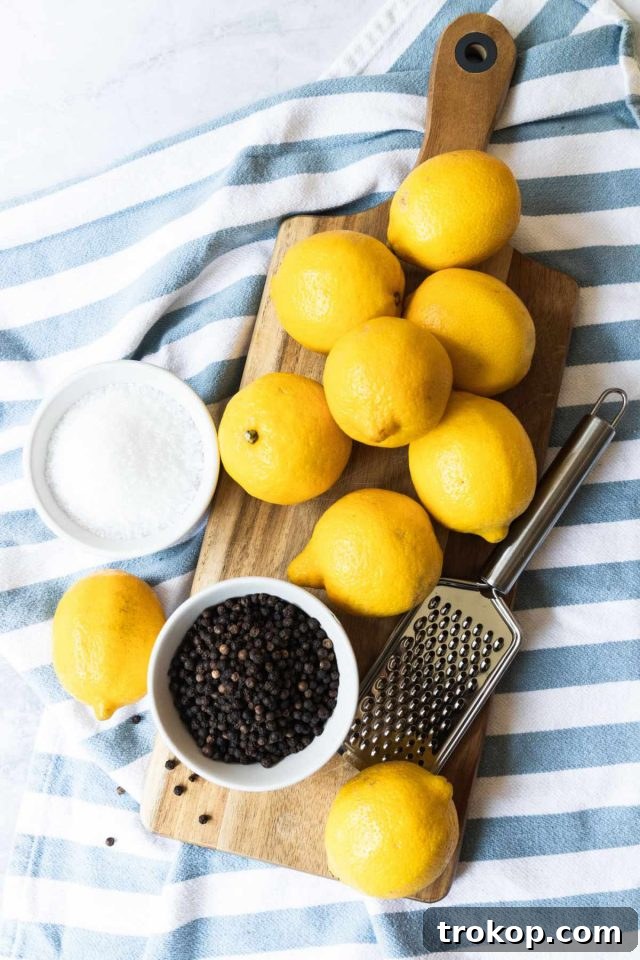 Lemon Pepper Seasoning: A Zesty Homemade Blend 3 Ingredients for Homemade Lemon Pepper Seasoning