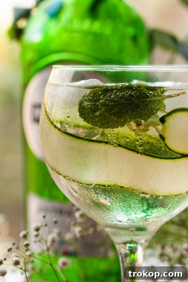 Martini Spritz with cucumber garnish, overhead shot with ice and fresh ingredients on a wooden table