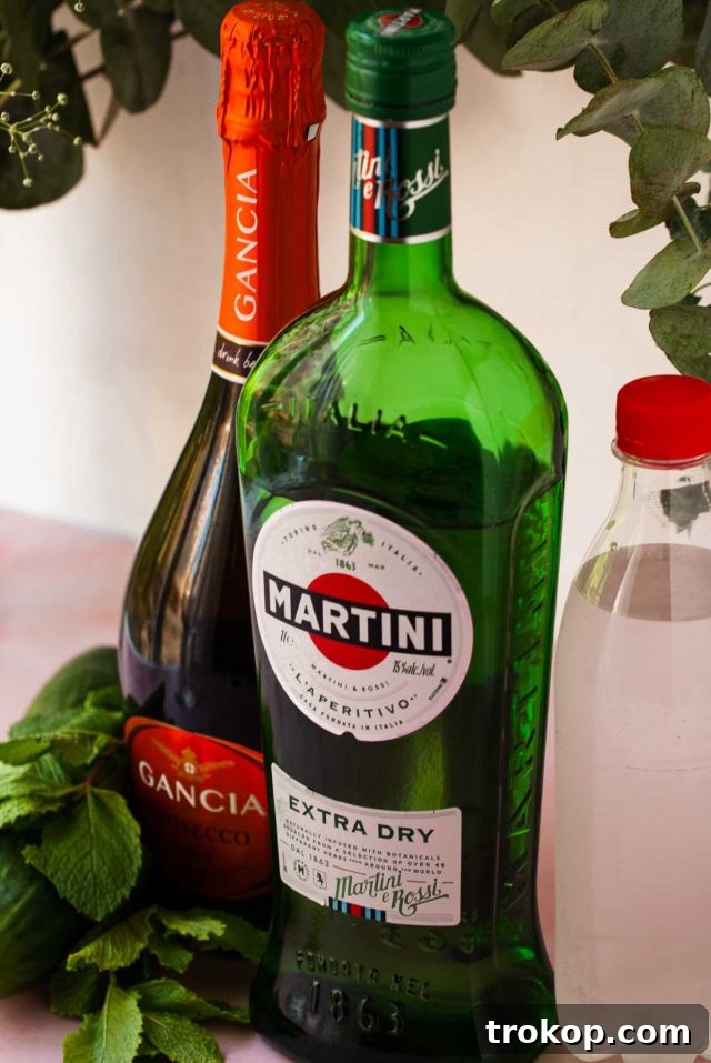 cocktails with martini - ingredients needed to make a martini spritz: Martini Extra Dry, Prosecco, cucumber, and mint