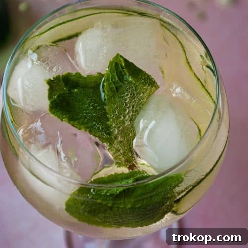 Final Martini Spritz cocktail ready to drink, garnished with cucumber and mint