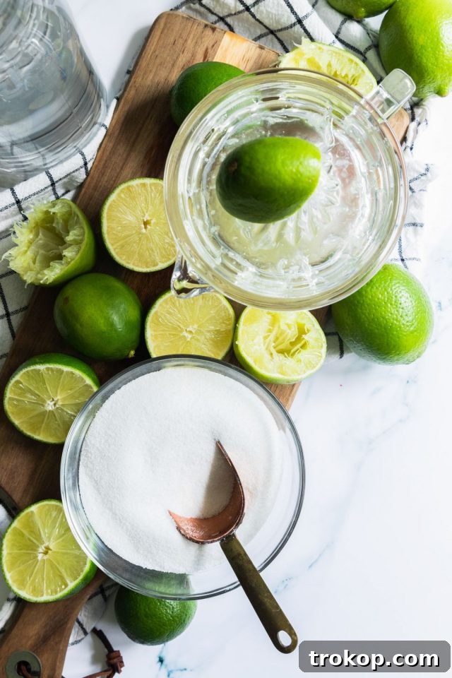 Refreshing Homemade Limeade 4 Overhead shot of essential ingredients for homemade limeade: fresh limes, sugar, and a glass of water.